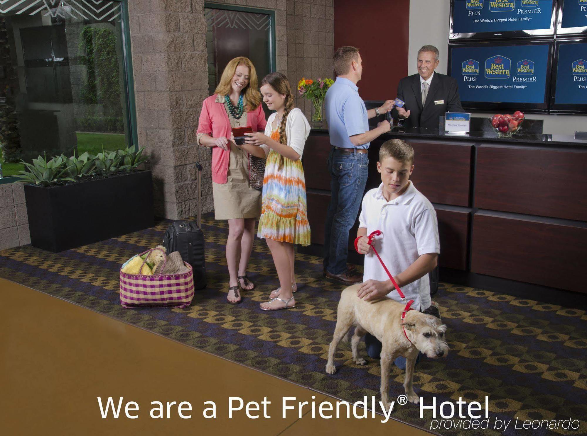 Surestay Plus Hotel By Best Western Mountain View Bagian luar foto
